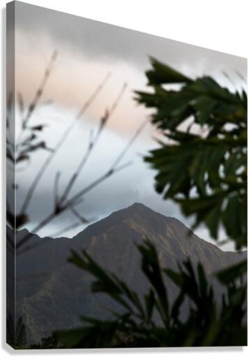 Mountain Canvas Print