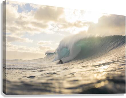 John_John Canvas Print