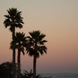 Pastel_Postcard