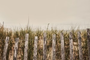 Dunes
