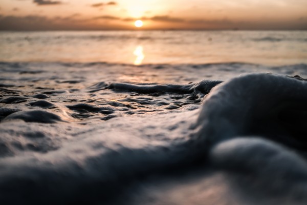 Sea Foam Print