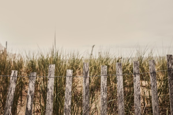 Dunes Print