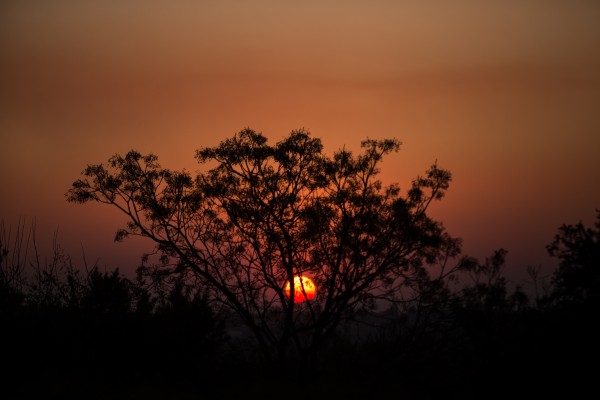 South African Sunset Print