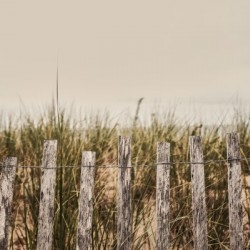 Dunes