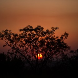 South African Sunset