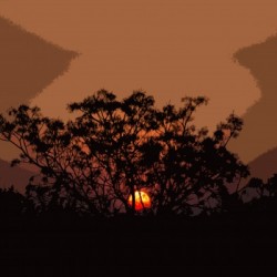 South African Sunset Art Version