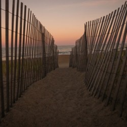 To The Beach