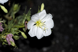 Projet qqq20190905 0174