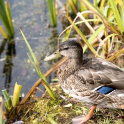 Belle journee au soleil