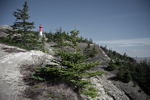 Cape Spencer New Brunswick
