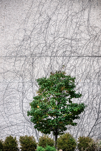 Saint John Uptown New Brunswick