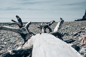 Fundy Trail Provincial Park NB Canada