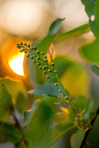 The Beauty of Nature