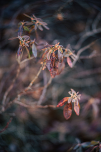 Rockwood Park In Saint John 3
