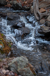 Rockwood Park In Saint John 7