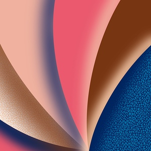 Shell Pink