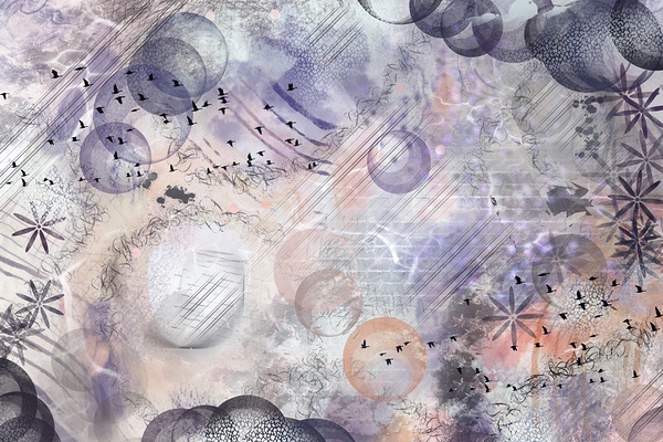 Whimsical Grey by Olena Ivanova