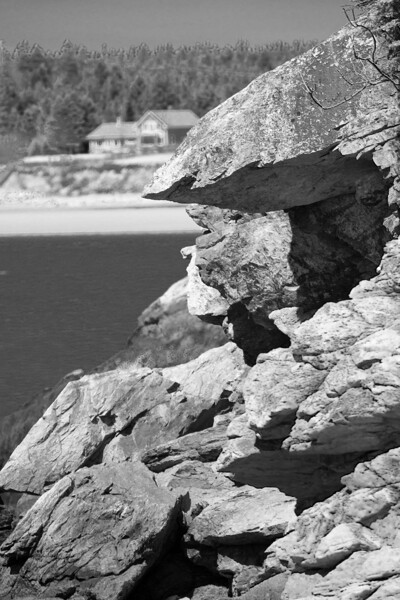 The Beauty of Nature Print