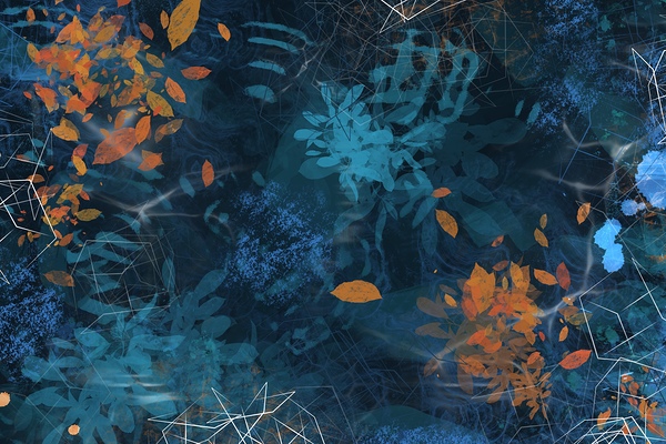 After the Bloom by Olena Ivanova