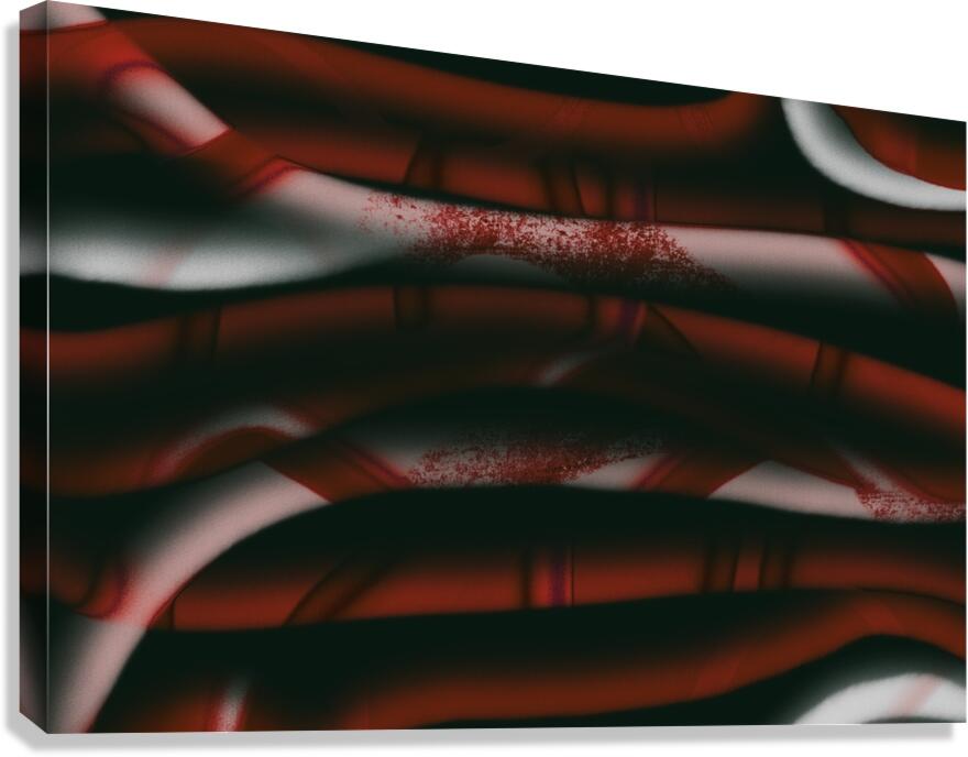 Desert Red Canvas Print