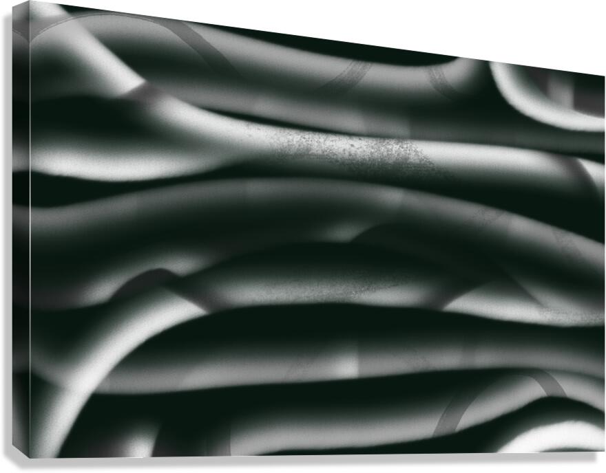 Desert Silver Canvas Print