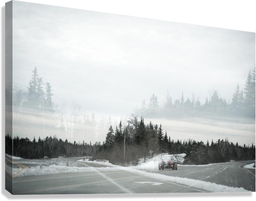 Collage Canvas Print