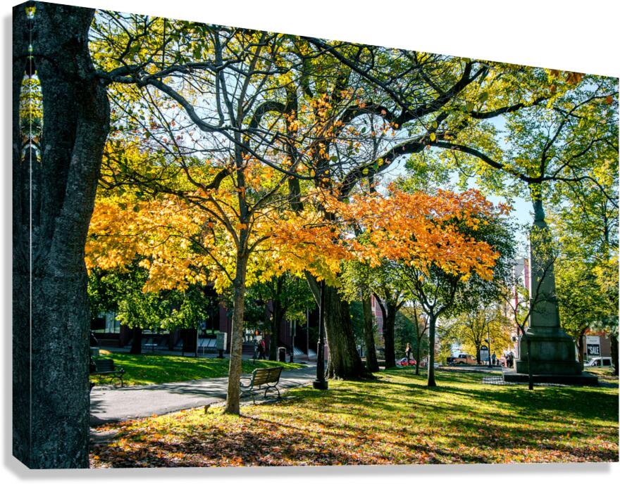 Saint John Canvas Print