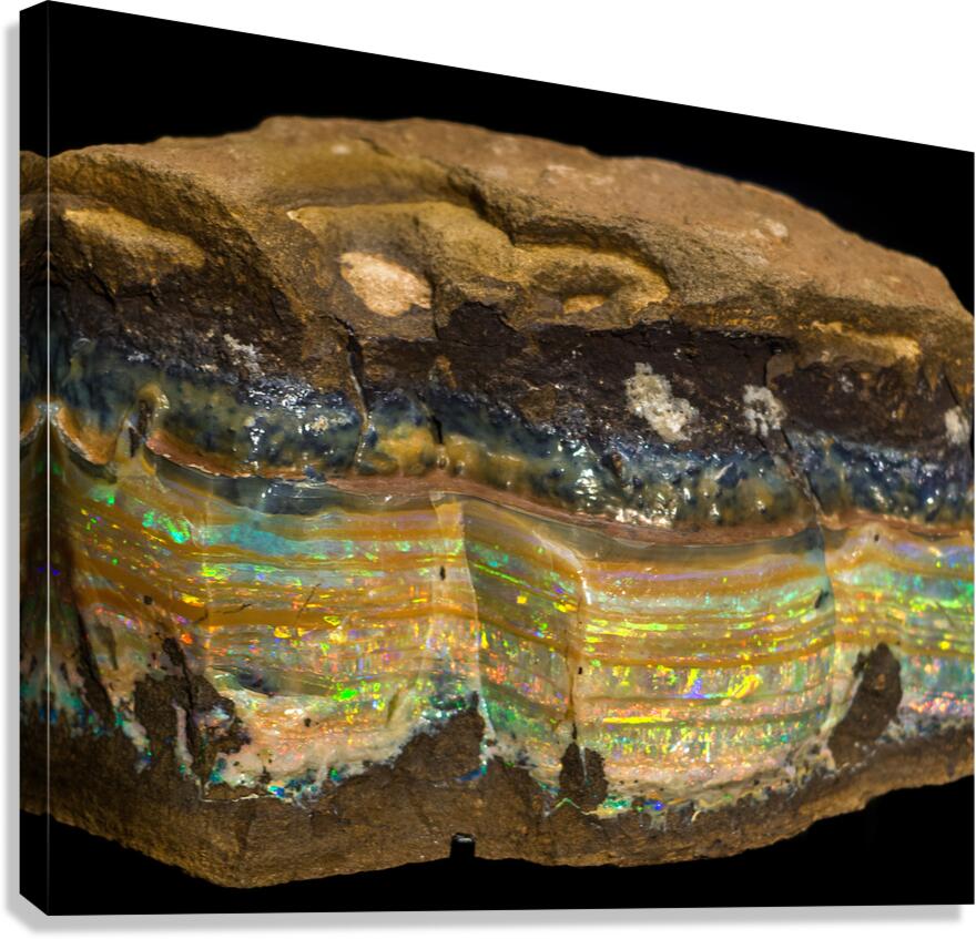 Gemstone Canvas Print