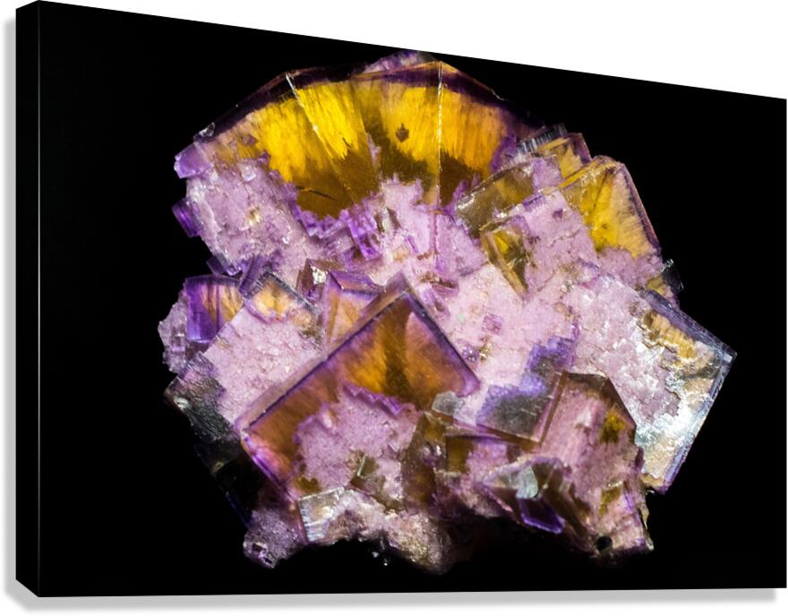 Gemstone Canvas Print
