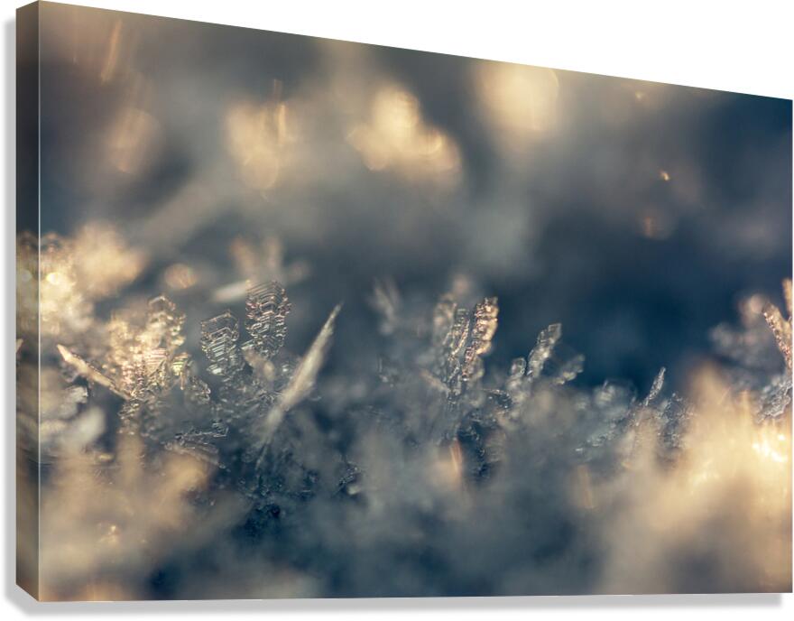 Snowflake Canvas Print