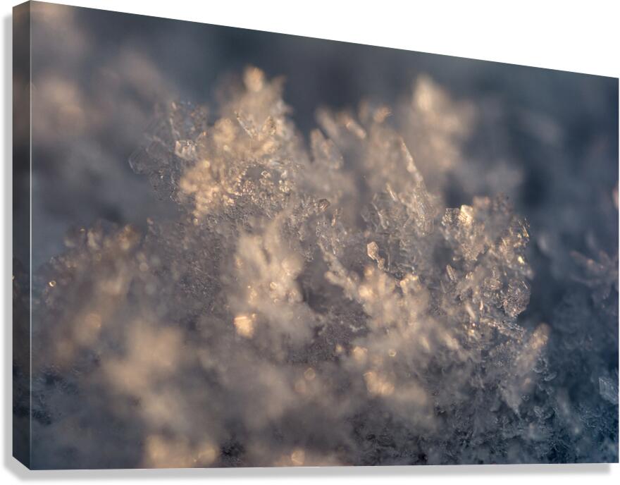 Snowflake Canvas Print