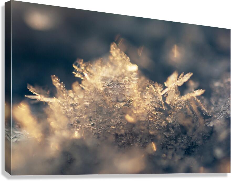 Snowflake Canvas Print