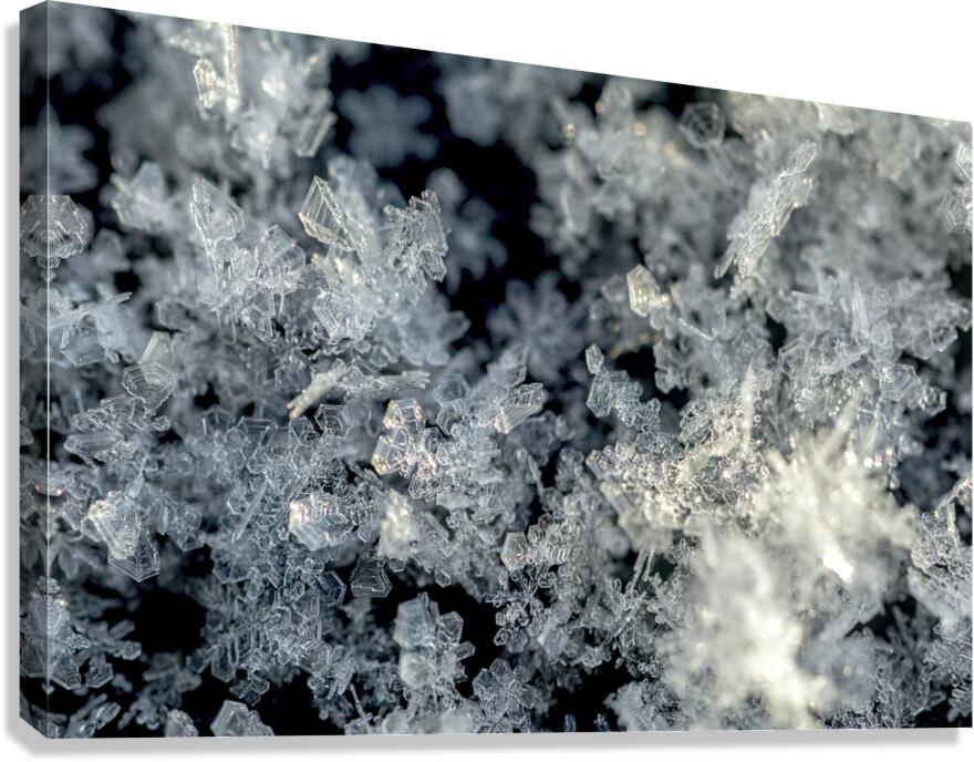 Snowflake Canvas Print