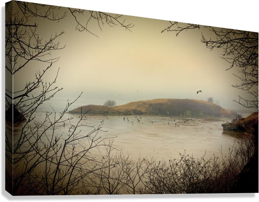 Island  Canvas Print