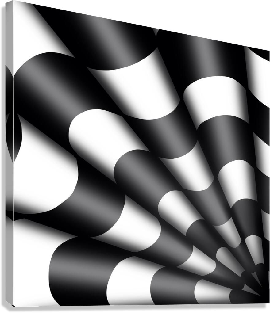 Warped Illusions Canvas Print