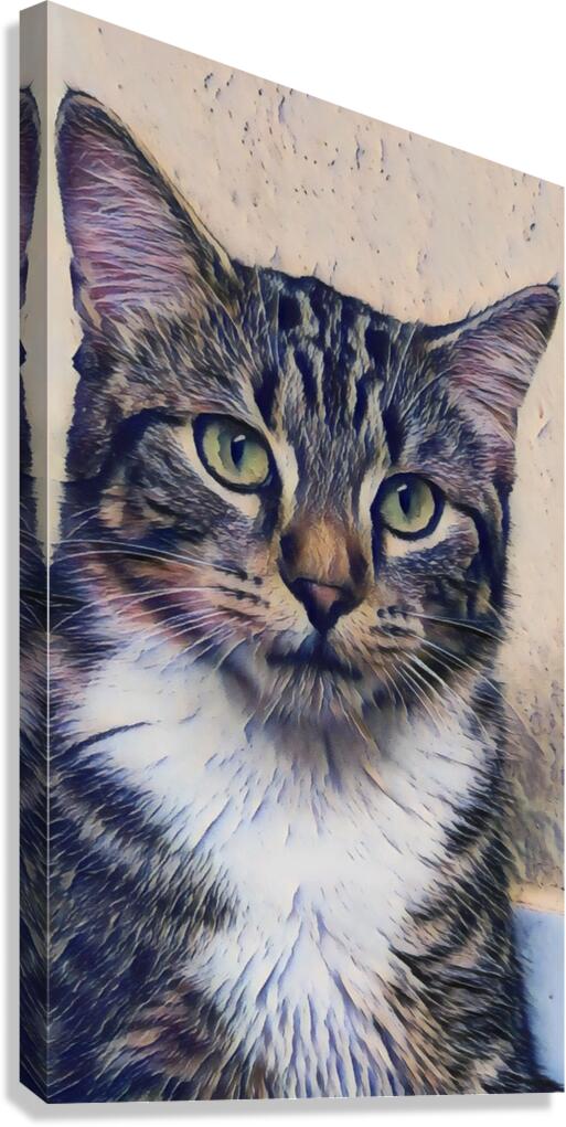 Azender Canvas Print
