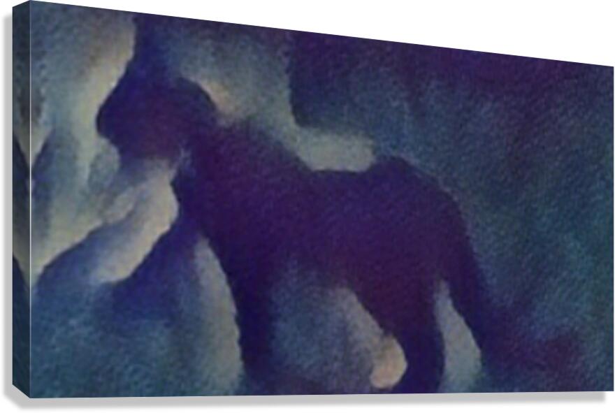 Dreamwalking Canvas Print