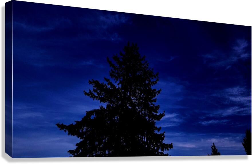 Sentinels Canvas Print