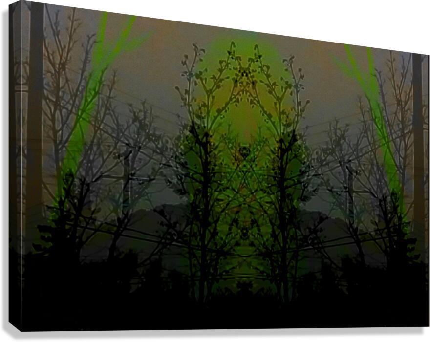 Worlds Collide Canvas Print