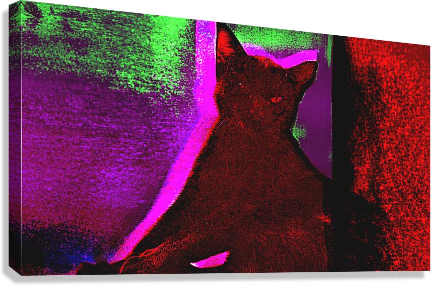 Happy Canvas Print