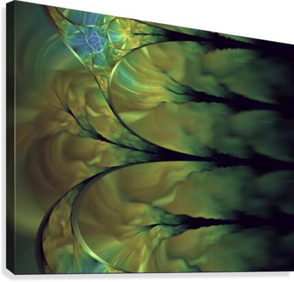 Haunted Canvas Print
