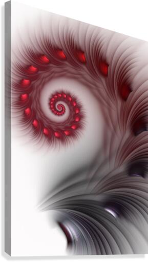 Descent Canvas Print