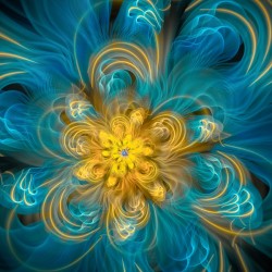 Flower In Blue