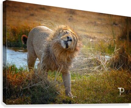 Bath Canvas Print
