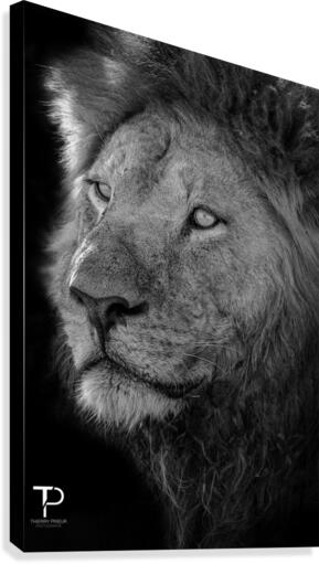 King Canvas Print