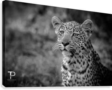 Youth Canvas Print