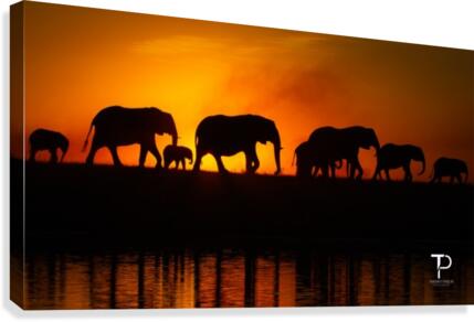 Silhouettes Canvas Print