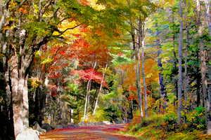 Sentier automne final