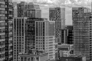 bwdb 079356 dbw
