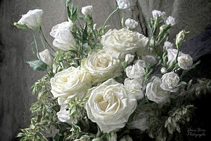 db 2019 11 08 034779 Editsign e